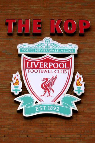 5D Liverpool Diamond Painting Cross Stitch Embroidery Rhinestone